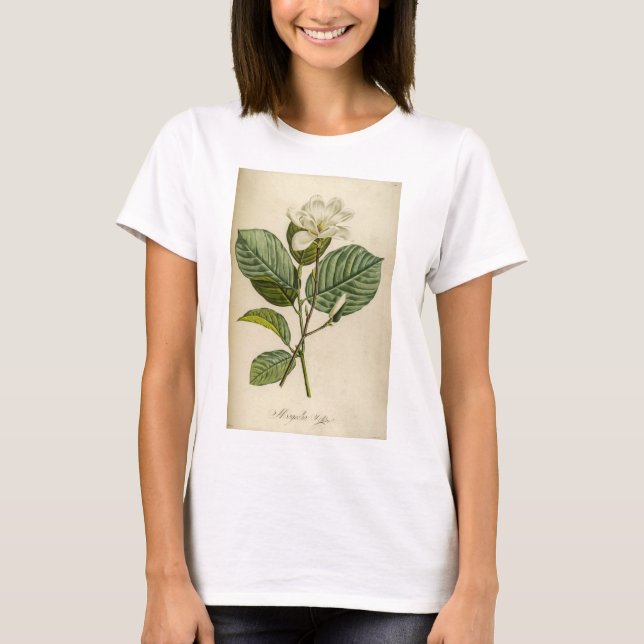 Camiseta Camisa-T da Magnolia Branca de Mulheres (Frente)