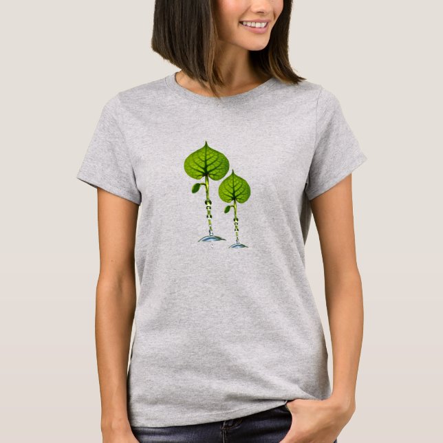 Camiseta Camiseiros congelados (Frente)