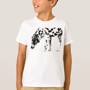 Camiseta Camiseta-doce HAMbWG - Dalmation