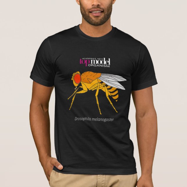 Camiseta Camiseta-mosca-fruta (Frente)