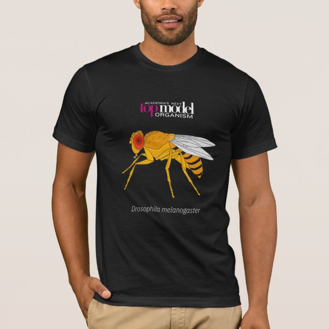 Camiseta Camiseta-mosca-fruta (Frente)