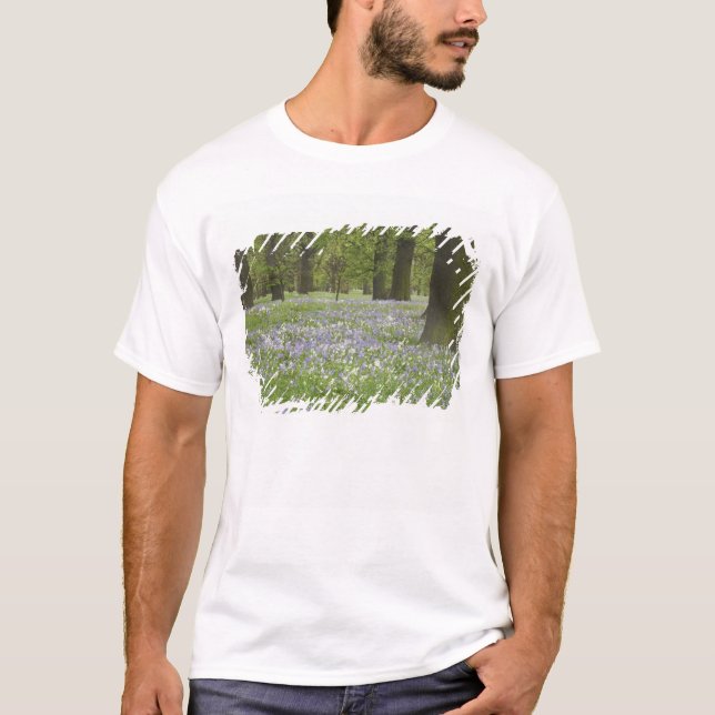 Camiseta Campainhas azuis e Carvalhos na Primavera, Little  (Frente)