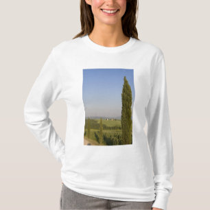 Camiseta Campestre perto de Pienza. Val d'Orcia, Siena