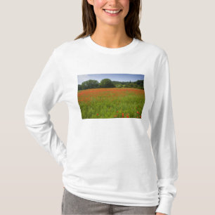 Camiseta Campo da papoila, Chiusi, Italia