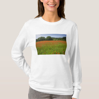 Camiseta Campo da papoila, Chiusi, Italia