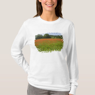 Camiseta Campo da papoila, Chiusi, Italia