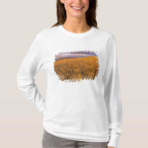 Camiseta Campo de cevada madura ao longo das Rochosas