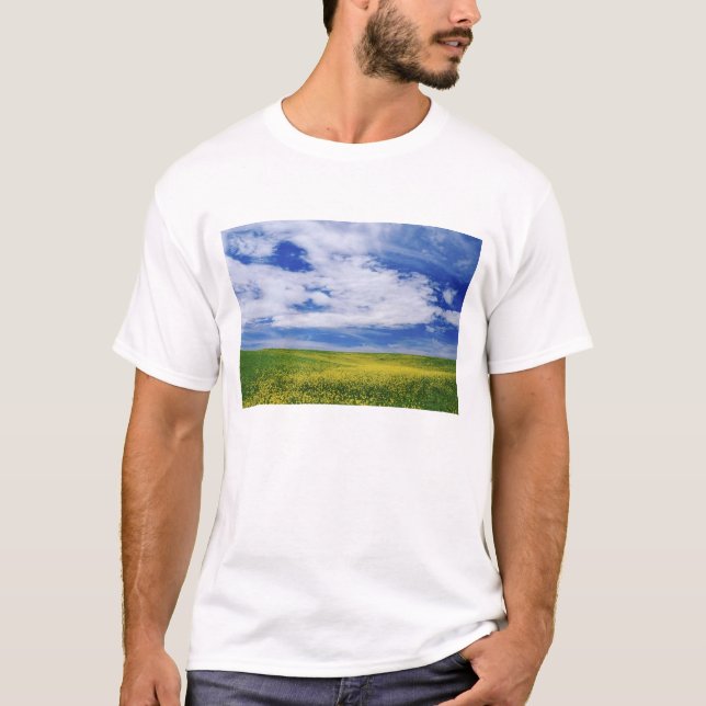 Camiseta Campo de flores de Canola ou Mostarda, Palouse (Frente)