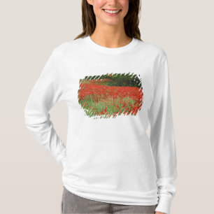 Camiseta Campo de flores de papoula híbrida plantadas ao lo
