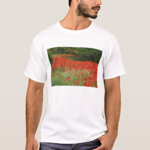 Camiseta Campo de flores de papoula híbrida plantadas ao lo