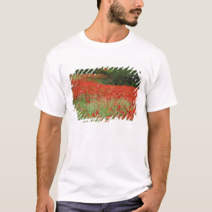 Camiseta Campo de flores de papoula híbrida plantadas ao lo