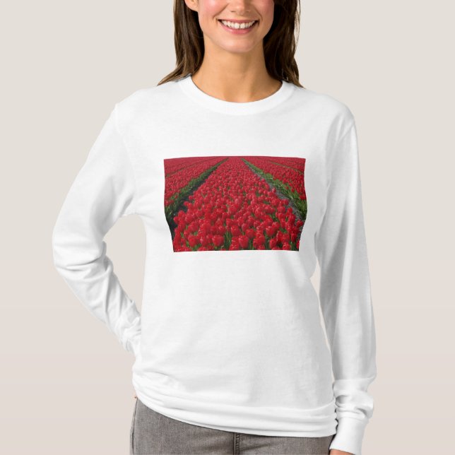 Camiseta Campo de flores de tulipas, Holanda, Países Baixos (Frente)