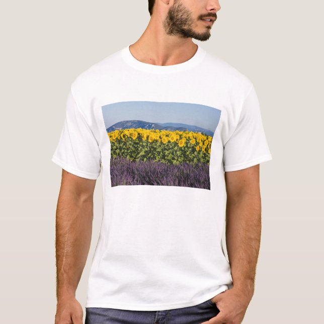 Camiseta Campo de girassóis e flores de lavanda, (Frente)