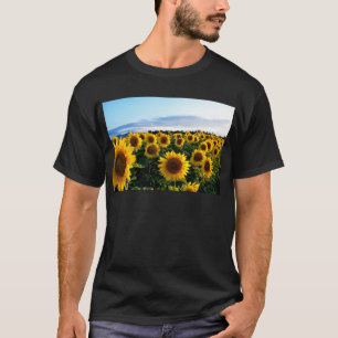 Camiseta Campo de girassol