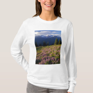 Camiseta Campo de tremoço, Monte Olimpo e nuvens em