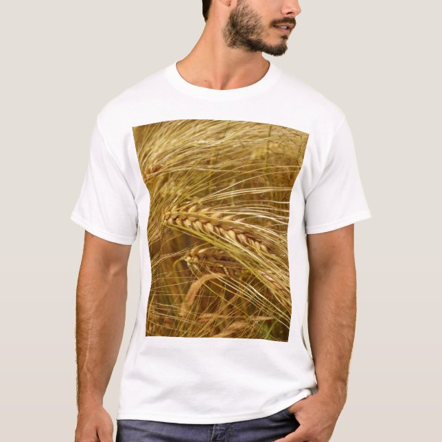 Camiseta Campo de trigo. É o tempo de colheita! (Frente)
