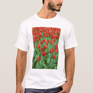 Camiseta Campo de tulipas floresce na primavera.