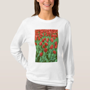 Camiseta Campo de tulipas floresce na primavera.