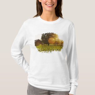 Camiseta Campo do girassol no por do sol com um celeiro