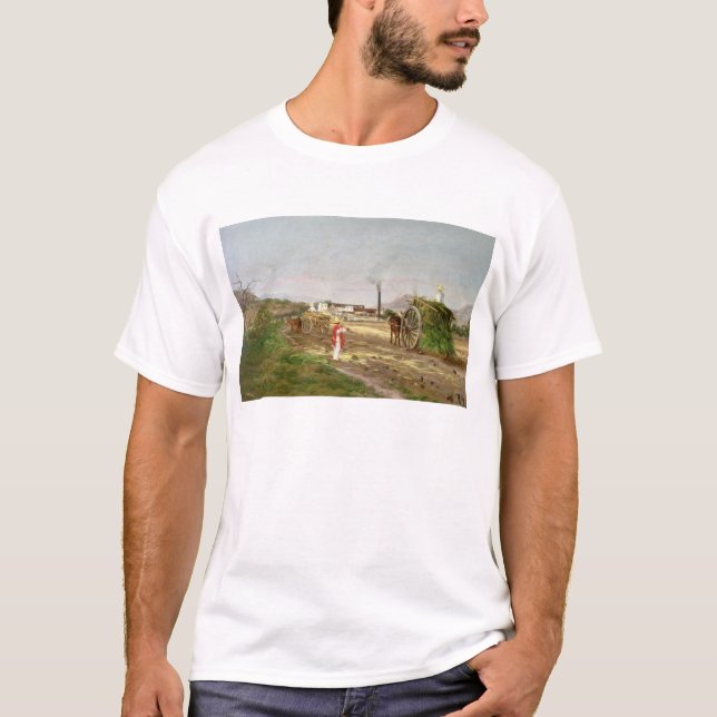 Camiseta Camponeses que recolhem o cana-de-açúcar (Frente)