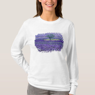 Camiseta Campos de lavanda, Vence, Provence, França