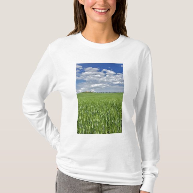 Camiseta Campos de trigo e tração revestidos de uma ciprest (Frente)