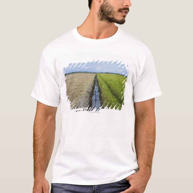 Camiseta campos no meio do arroz do canal de irrigação (Frente)