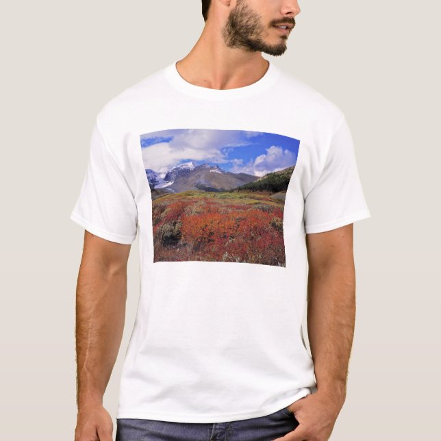 Camiseta Canadá, Alberta, Banff NP. A floração de Huckleber (Frente)