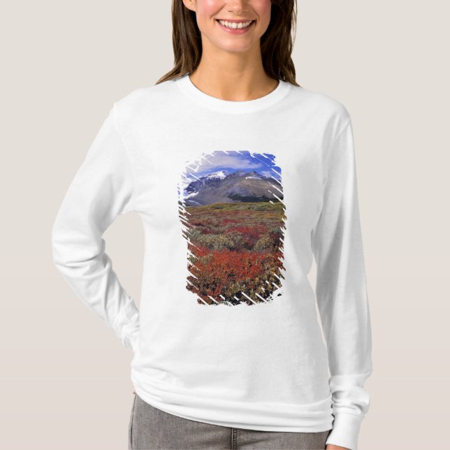 Camiseta Canadá, Alberta, Banff NP. Mirtilos fornecem (Frente)