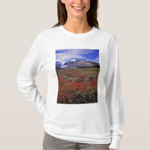 Camiseta Canadá, Alberta, Banff NP. Mirtilos fornecem
