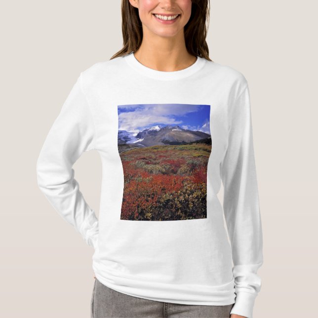 Camiseta Canadá, Alberta, Banff NP. Mirtilos fornecem (Frente)