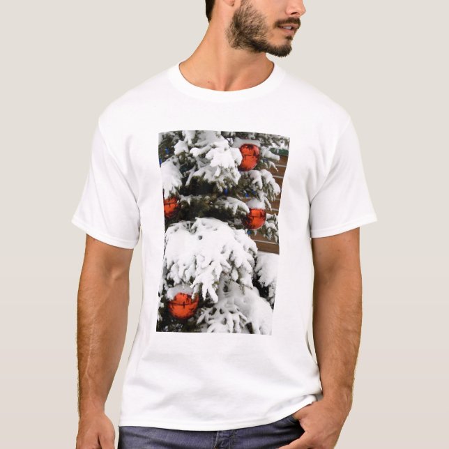 Camiseta Canadá, Alberta, Jasper, Jasper NP. Fairmont 2 (Frente)