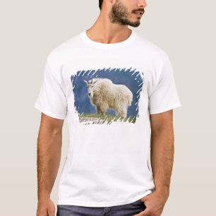Camiseta Canadá, Alberta, Parque Nacional Jasper,