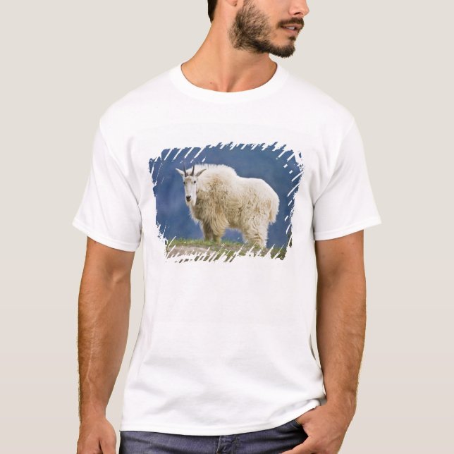 Camiseta Canadá, Alberta, Parque Nacional Jasper, (Frente)
