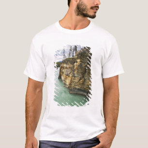 Camiseta Canadá, Alberta, Parque Nacional Jasper, Athabasca