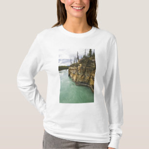 Camiseta Canadá, Alberta, Parque Nacional Jasper, Athabasca