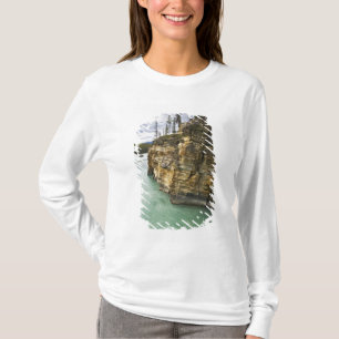 Camiseta Canadá, Alberta, Parque Nacional Jasper, Athabasca