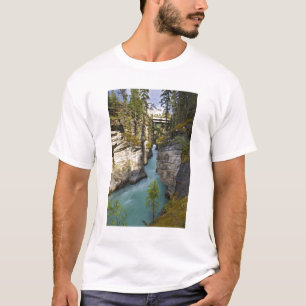 Camiseta Canadá, Alberta, Parque Nacional Jasper, Athabasca