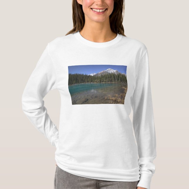 Camiseta Canadá, Alberta, Parque Nacional Jasper: JASPER, (Frente)