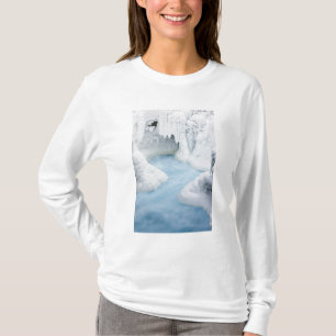 Camiseta Canadá, Alberta, Parque Nacional Jasper. O