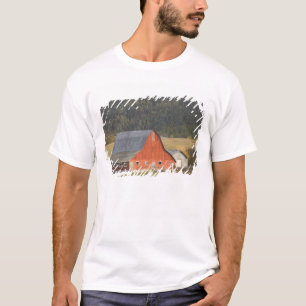 Camiseta CANADÁ, Colúmbia Britânica, Enderby. Celeiro Verme