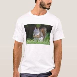Camiseta Canadá, Colúmbia Britânica, Esquilo Vermelho Pinhe