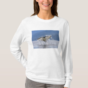 Camiseta Canadá, Colúmbia Britânica, Ilha de Vancouver,