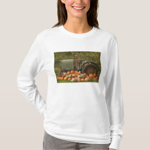 Camiseta CANADÁ, Colúmbia Britânica, Keremeos. Outono / 2