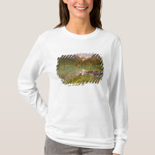 Camiseta Canadá, Colúmbia Britânica, Parque Nacional Yoho.
