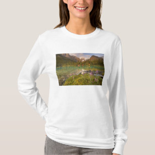 Camiseta Canadá, Colúmbia Britânica, Parque Nacional Yoho.2