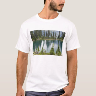 Camiseta Canadá, Colúmbia Britânica, Revelstoke Nacional