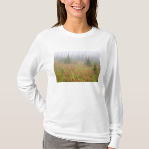 Camiseta Canadá, Colúmbia Britânica, Revelstoke Nacional