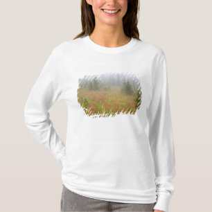 Camiseta Canadá, Colúmbia Britânica, Revelstoke Nacional