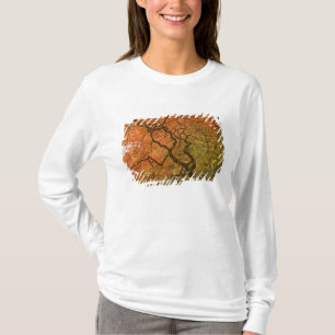 Camiseta CANADÁ, Colúmbia Britânica, Vitória. Outono 2